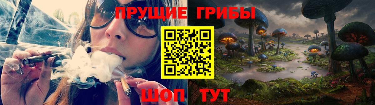 Каменка  Псилоцибиновые грибы GOLDEN TEACHER  Вход с VPN 